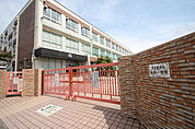 金城小学校 564m