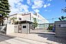 周辺：日比津小学校 594m