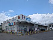 ウエルシア大津堅田店（225m）