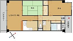 アマデウスVII朝来 2階2LDKの間取り