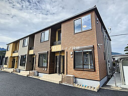 サンフラワー　III 203