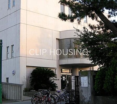 茅ヶ崎市立松浪小学校 徒歩9分。 720m