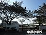 周辺：平塚市立中原小学校 徒歩6分。 420m