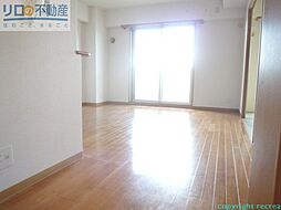 ＨＩＹＯＤＯＲＩ