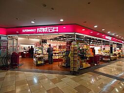 成城石井幡ヶ谷店 徒歩6分。 470m