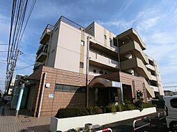 ティーワイパレス