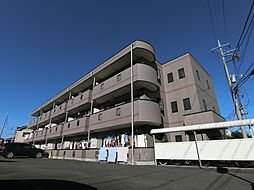 サングレース