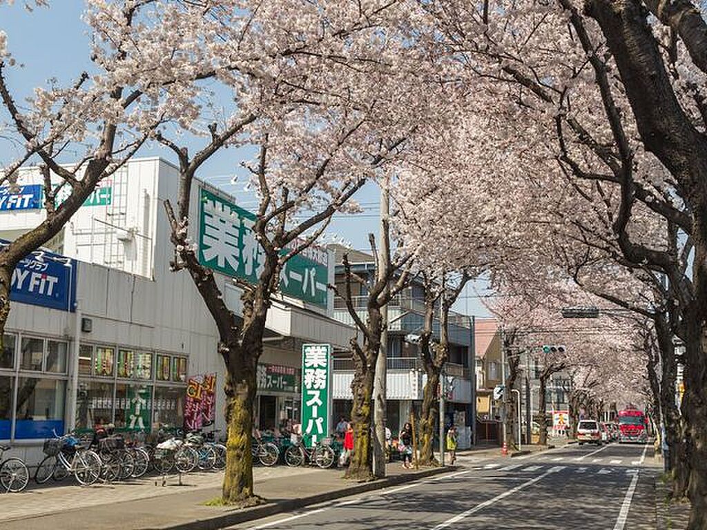 detached 埼玉県ふじみ野市大井中央2丁目