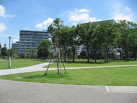 福岡中央公園 徒歩7分。 500m