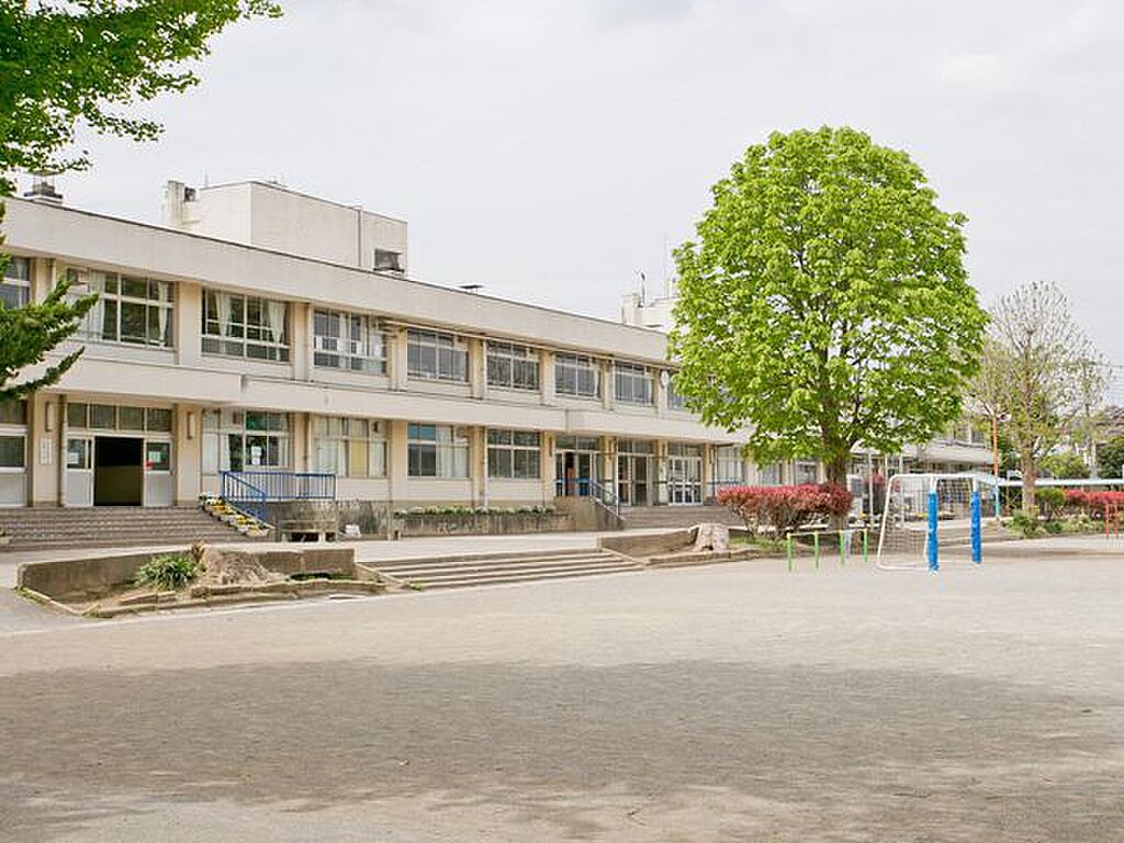 Image 65