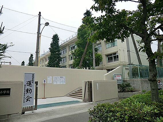 練馬区立光が丘...