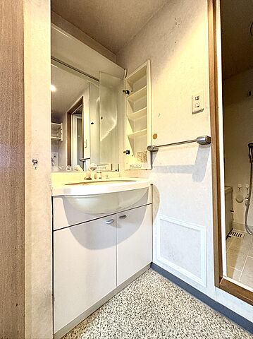洗面 エスカイア羽村第二 8階/-