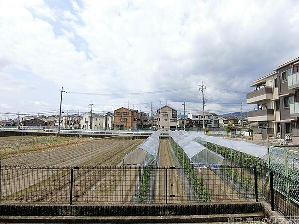 グレース離宮 101｜京都府京都市西京区牛ケ瀬西柿町(賃貸マンション1K・1階・27.91㎡)の写真 その23