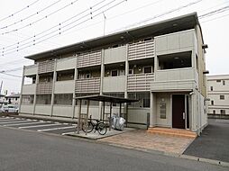 オッツ　グレース