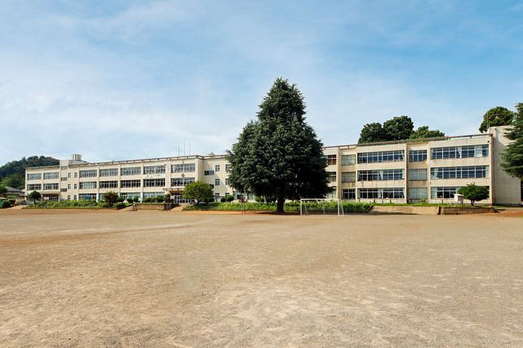 Image 81