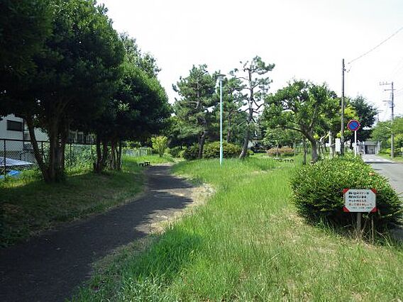 【公園】鳥廻り...