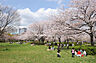 周辺：猿江恩賜公園（842m）