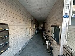5 / 9