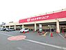周辺：スーパーバリュー ロピア飯能店 徒歩18分。 1410m