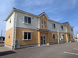 New Color Pine（ニューカラーパイン）