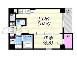セレニテ甲子園 1LDKの間取図画像