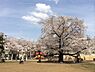 周辺：【公園】北区立南谷端公園まで356ｍ