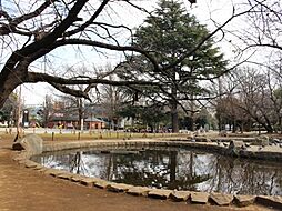 【公園】板橋区平和公園まで688ｍ