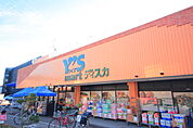 Y’s mart Discover（ワイズディスカ） 飯山満店（447m）