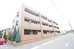 Ｓｕｎ　Ｇｒｅｅｎ　Ｍ