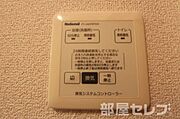 2017年1月12日撮影。