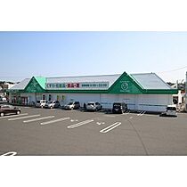 グランデ志戸部 0201 ｜ 岡山県津山市志戸部（賃貸マンション1LDK・2階・41.60㎡） その5