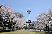 公園