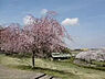 周辺：公園
