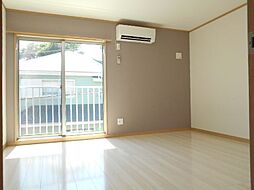 ＳＯＬＥＩＬ　ＰＬＡＩＳＩＲ