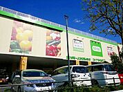 コープ花小金井店 徒歩9分。スーパー 700m