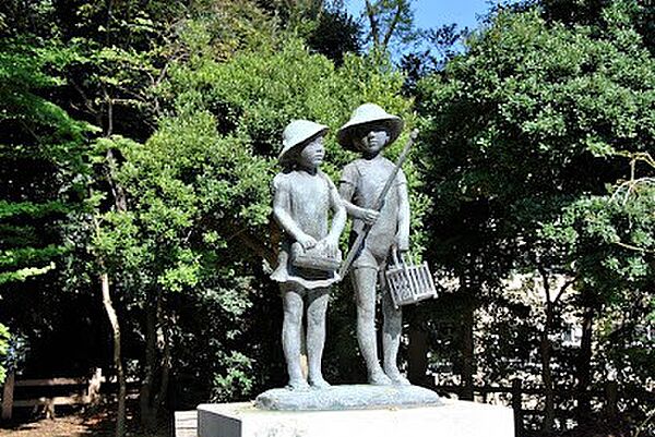 周辺を拡大表示