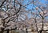 周辺：公園「行徳駅前公園まで342m」