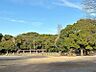 周辺：公園「13号若宮第1緑地まで2972m」