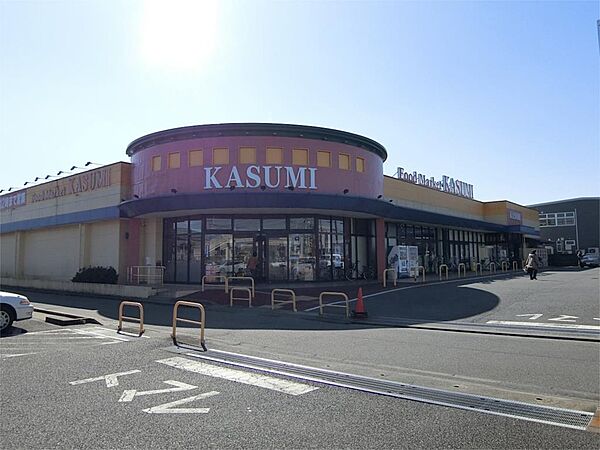 画像15:KASUMI（カスミ） 平須店（319m）