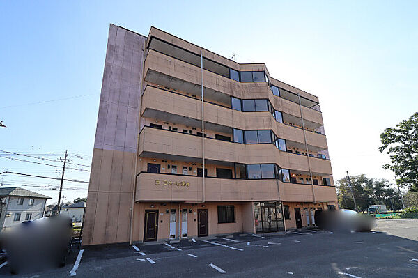 ラフォーレ天神 ｜栃木県栃木市大平町西野田(賃貸マンション3DK・3階・58.96㎡)の写真 その3