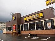 CoCo壱番屋宇都宮峰店 472m