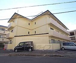 チェリーブロッサム嵯峨野