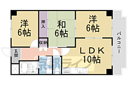 JR山陰本線 丹波口駅 徒歩2分の賃貸マンション 11階3LDKの間取り
