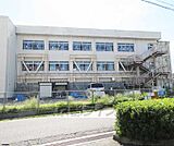 石山小学校まで113m