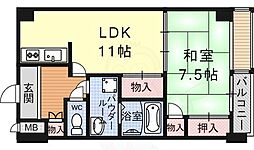 JR東海道・山陽本線 石山駅 徒歩3分の賃貸マンション 6階1LDKの間取り
