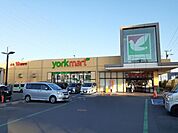 スーパー「ヨークマート伊勢原成瀬店まで605m」