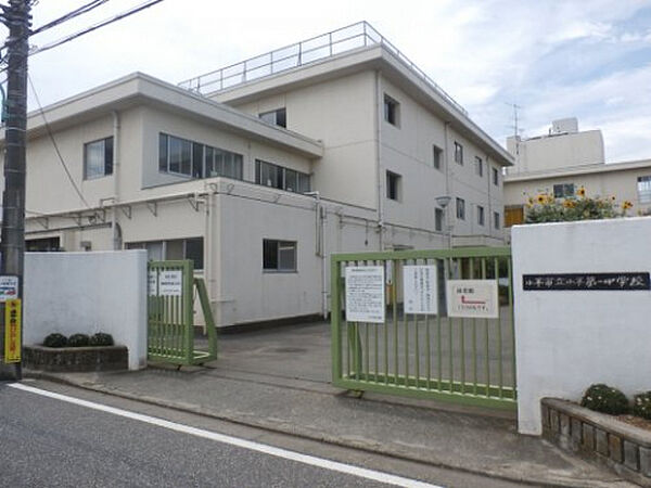 ティルタサリ