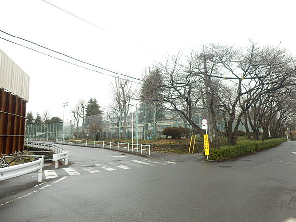 東京都国立市富士見台2丁目(賃貸マンション1K・2階・29.58㎡)の写真 その29