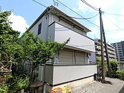 ワイズ ソフィア