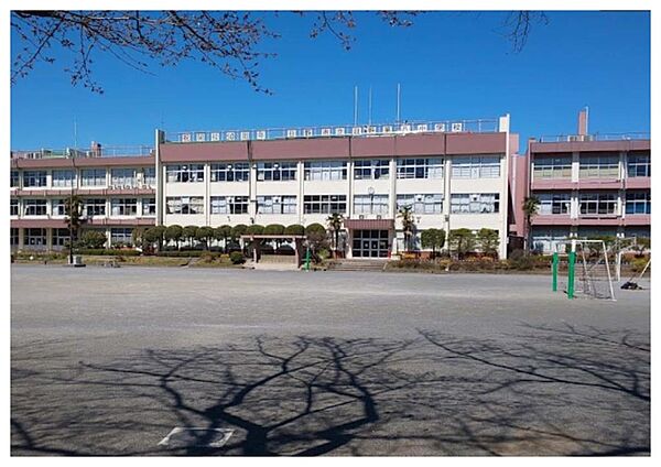 画像13:日野市立第八小学校（341m）